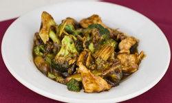 Chicken Broccoli